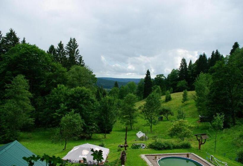 Pensionat Penzion U Lebedů