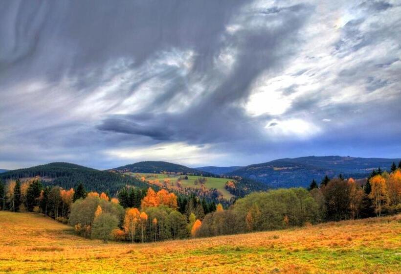 Pensionat Penzion U Lebedů