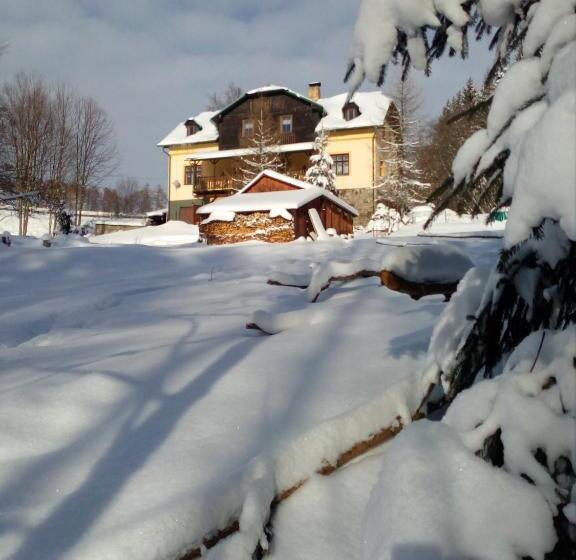 Pensionat Penzion U Lebedů