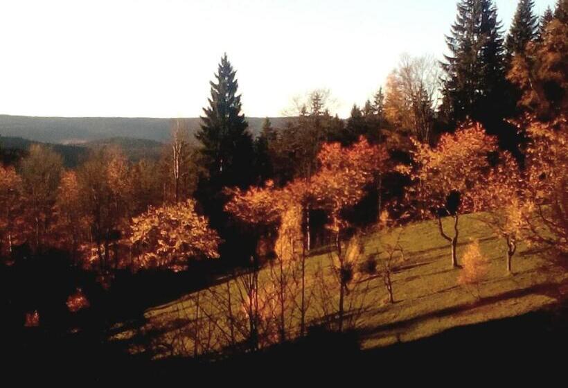 Pensionat Penzion U Lebedů