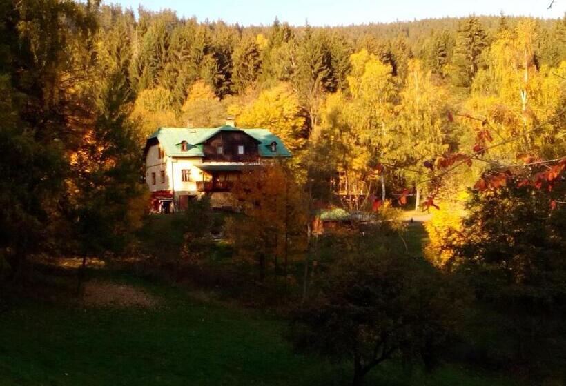 Pensionat Penzion U Lebedů