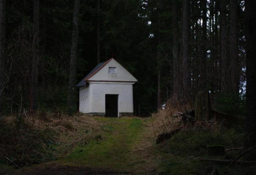 Pensionat Penzion U Lebedů