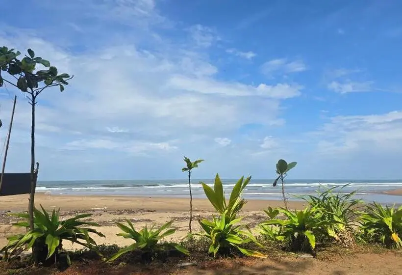 هتل Omisha Beach Stay   Just A 2 Minute Walk To The Beach
