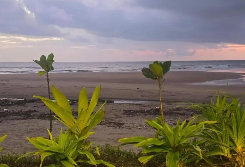 هتل Omisha Beach Stay   Just A 2 Minute Walk To The Beach