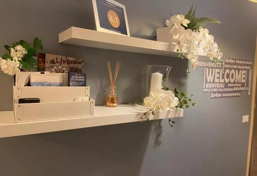 Bed and Breakfast Paradise Inn