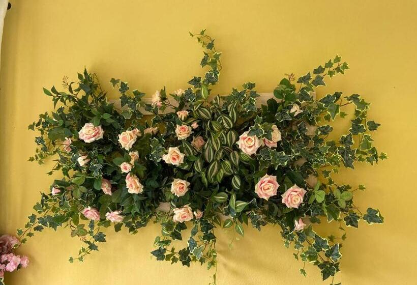 تختخواب و صبحانه Paradise Inn