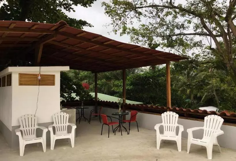 تختخواب و صبحانه Tortuguero Casa Pelican