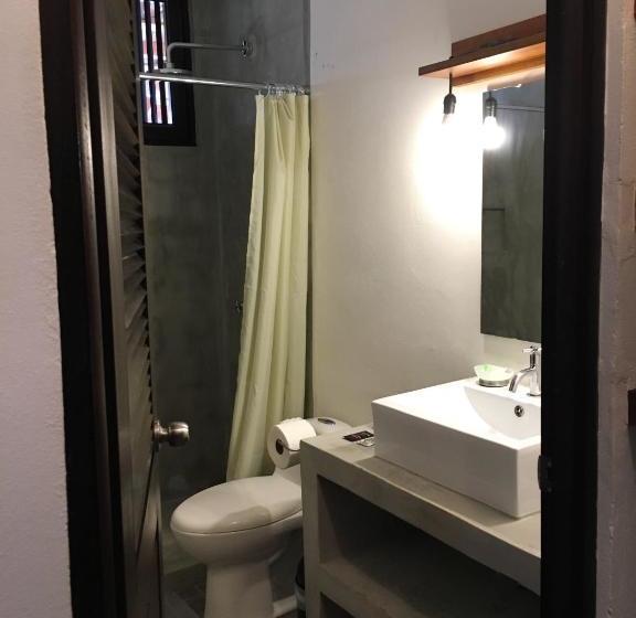 تختخواب و صبحانه Tortuguero Casa Pelican