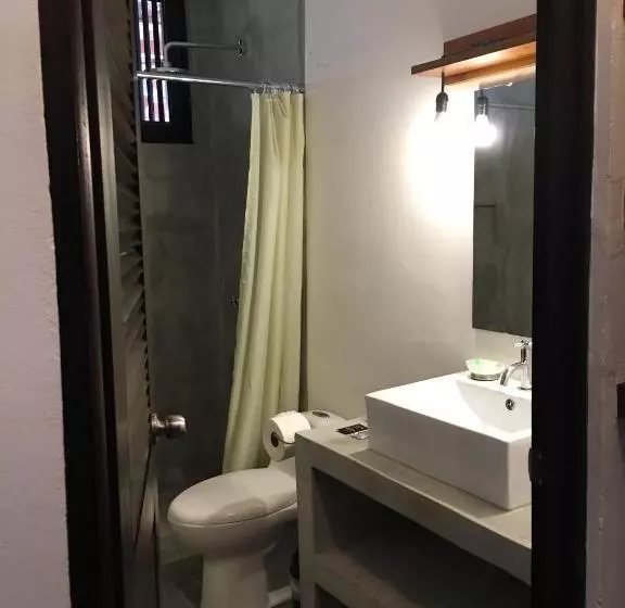 تختخواب و صبحانه Tortuguero Casa Pelican