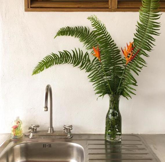 تختخواب و صبحانه Tortuguero Casa Pelican