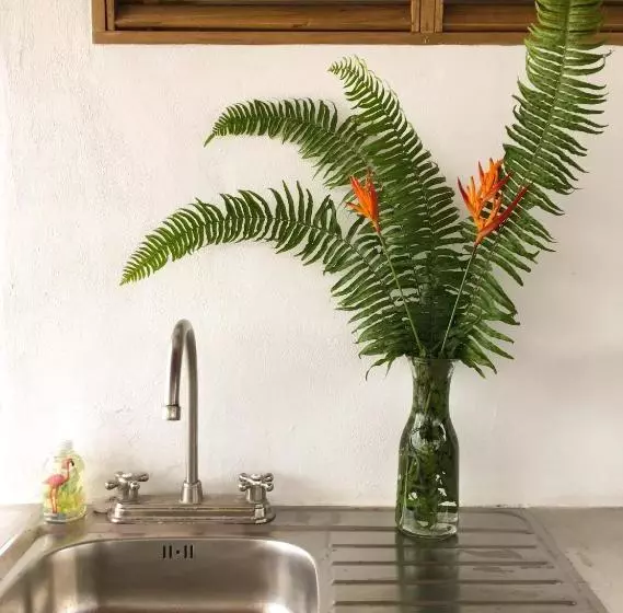 تختخواب و صبحانه Tortuguero Casa Pelican