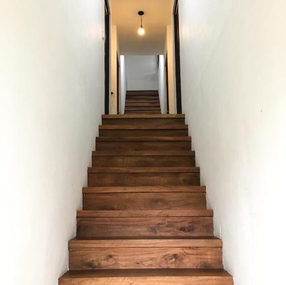 تختخواب و صبحانه Tortuguero Casa Pelican