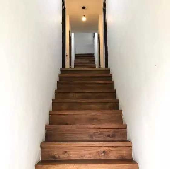 تختخواب و صبحانه Tortuguero Casa Pelican