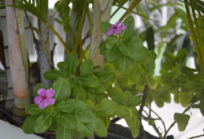 Hotel Mirador De San Jorge