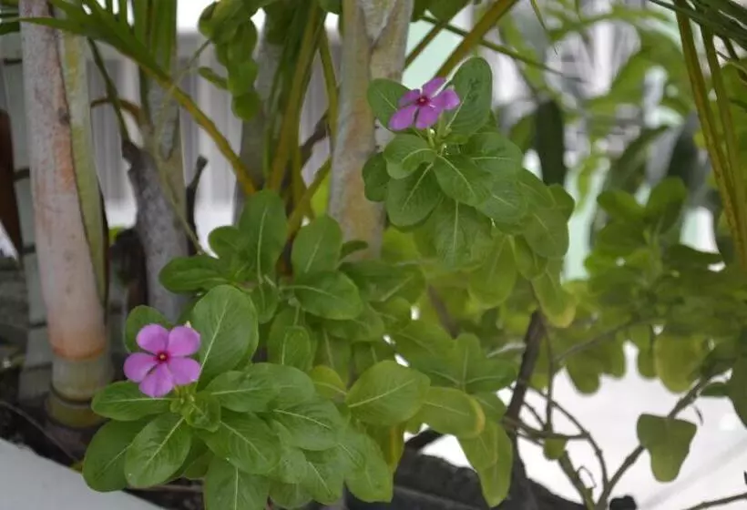 Hotelli Mirador De San Jorge