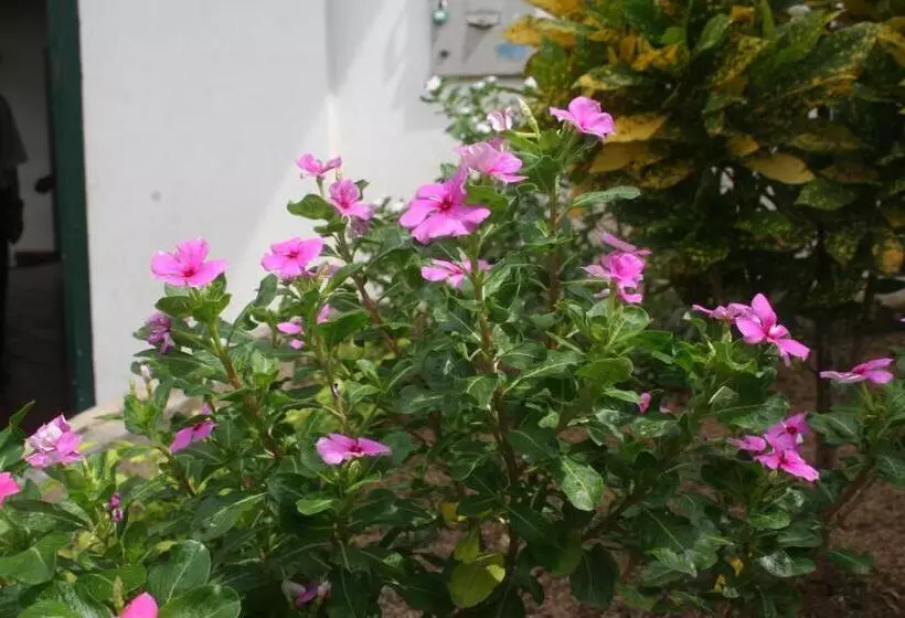 Hotelli Mirador De San Jorge