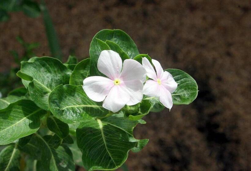 Hotel Mirador De San Jorge