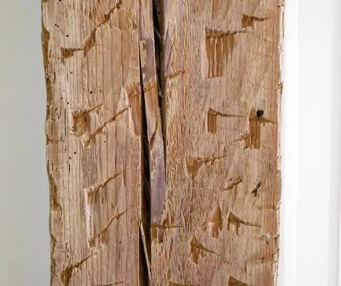 پانسیون Art Burgos