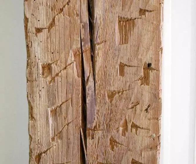 پانسیون Art Burgos