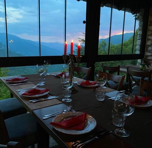 هتل Neda Galichnik