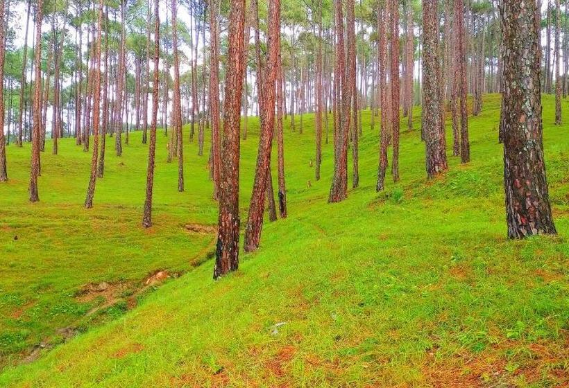 Hotel Silent Valley  Alchauna Kumaoni House Along River Kalsa