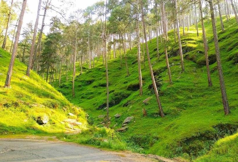 Hotel Silent Valley  Alchauna Kumaoni House Along River Kalsa