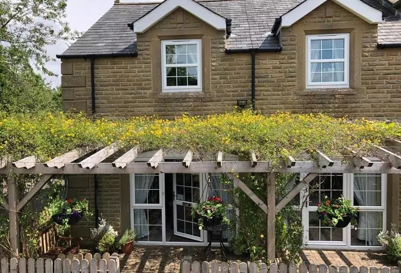 Aamiaismajoitus (B&B) Ashcroft Guest House