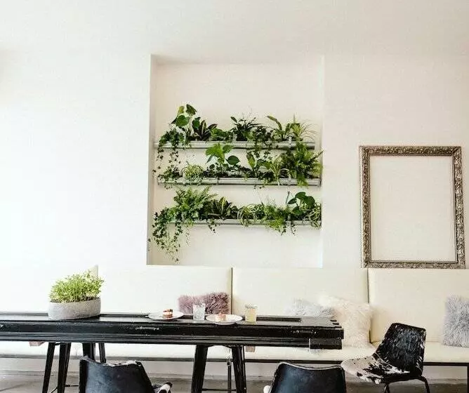 Wake Up Wellness Hostel