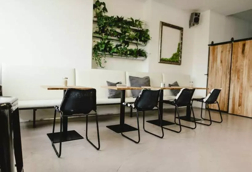 Wake Up Wellness Hostel