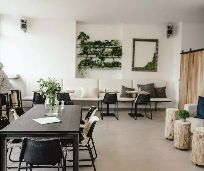 Wake Up Wellness Hostel