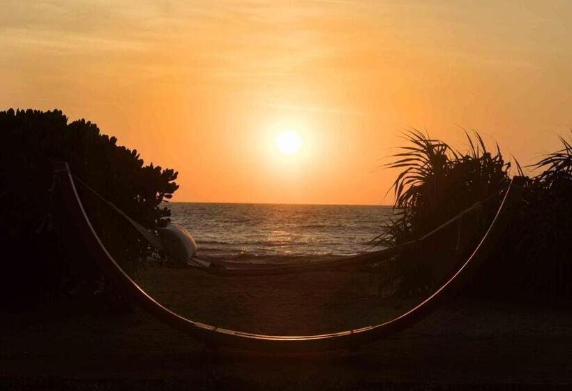 Wattura Resort & Spa