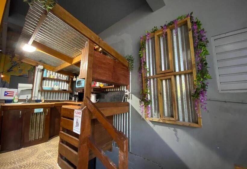 هاستل 1802 At San Juan