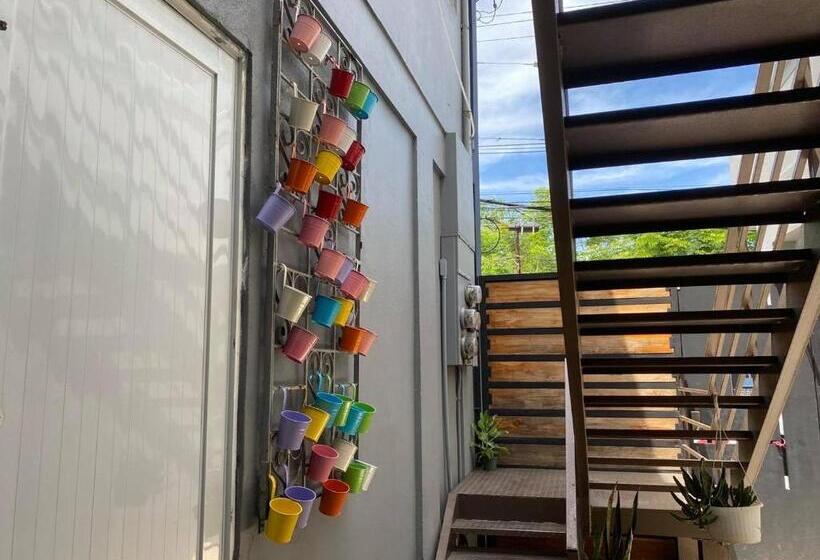 هاستل 1802 At San Juan