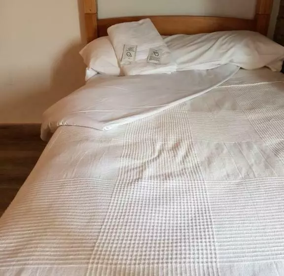 Albergue Savior