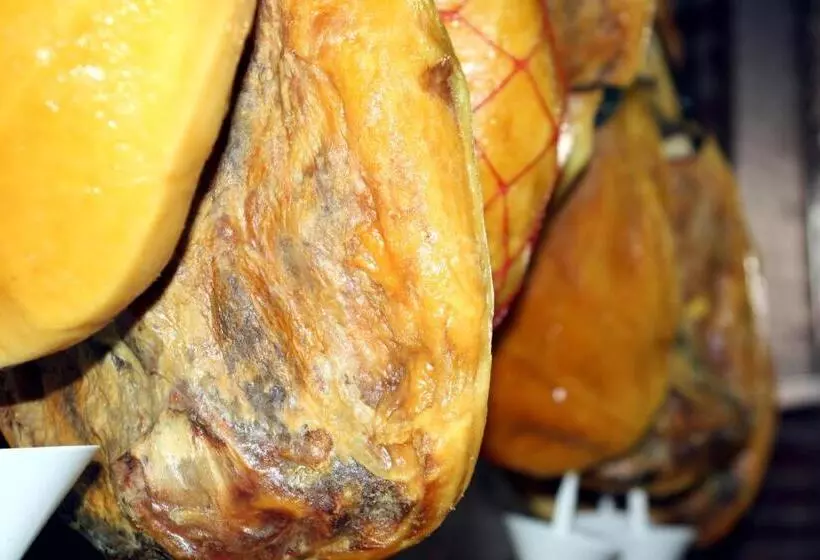 ペンション Hostal Casa Jose