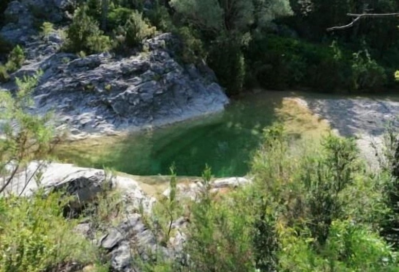 ペンション Hostal Casa Manolo