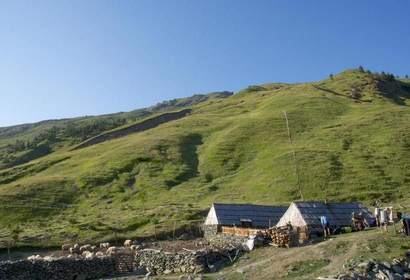 Пансион Aste Guesthouse