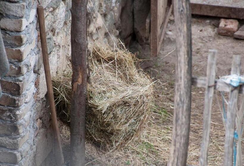 Пансион Aste Guesthouse