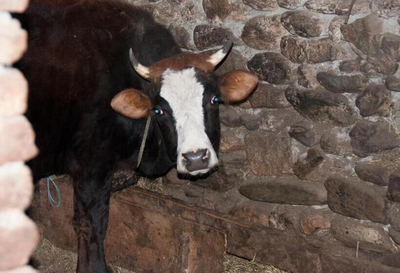 Пансион Aste Guesthouse