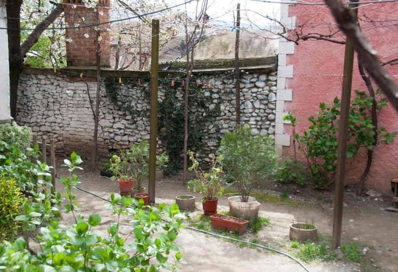 Пансион Aste Guesthouse