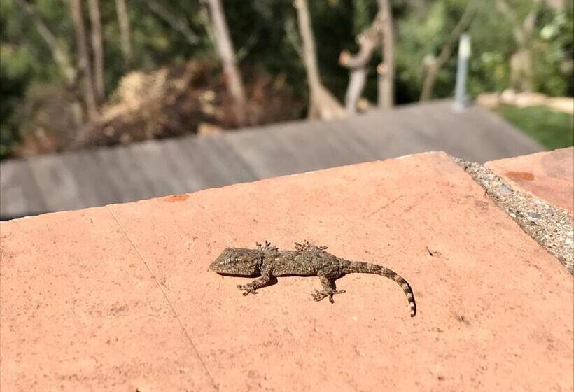 پانسیون Villa Colina