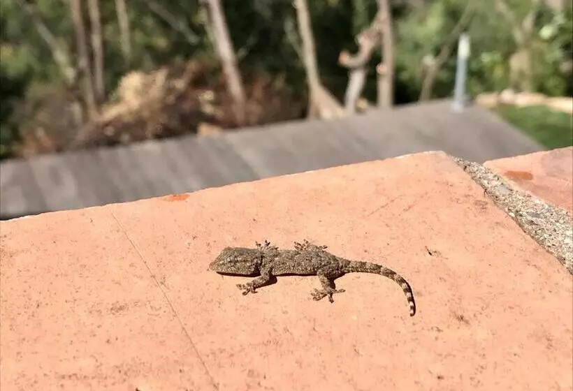 Majatalo Villa Colina