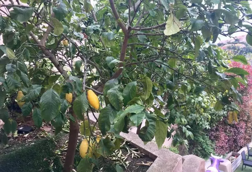 Majatalo Villa Colina