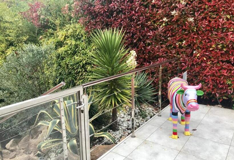 پانسیون Villa Colina