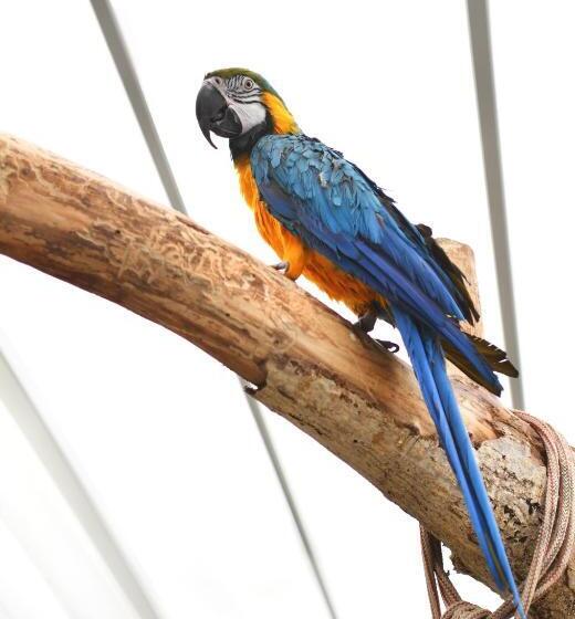 B&b Trullo Barbagiullo