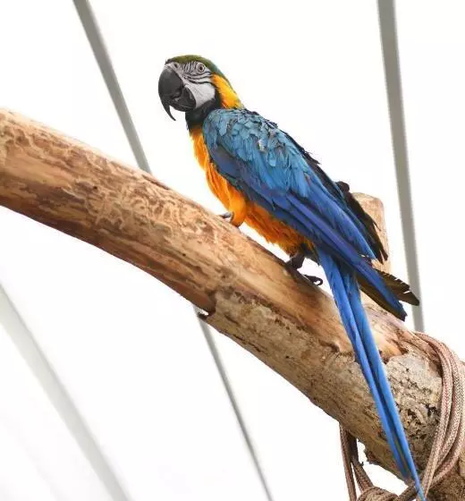 B&b Trullo Barbagiullo