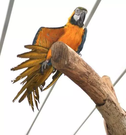 B&b Trullo Barbagiullo