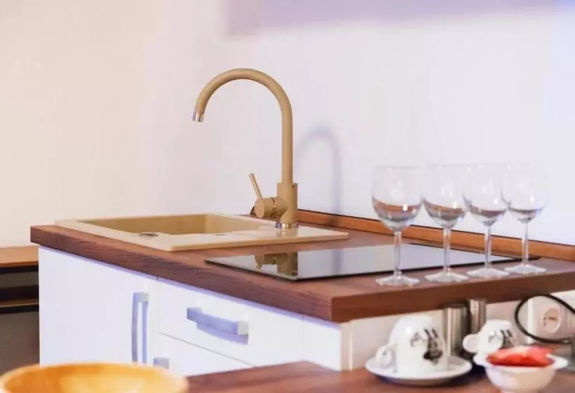 Villa Centrum Apartmány S Raňajkami A Saunou