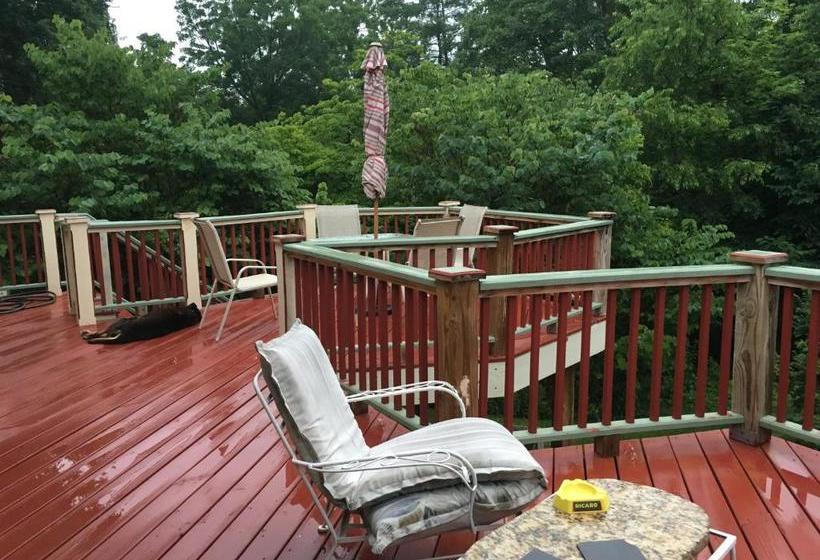 Jonesborough Bed And Breakfast