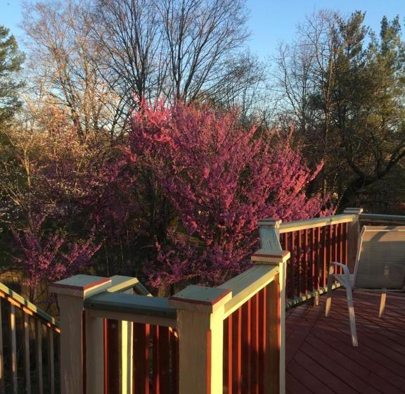 Jonesborough Bed And Breakfast